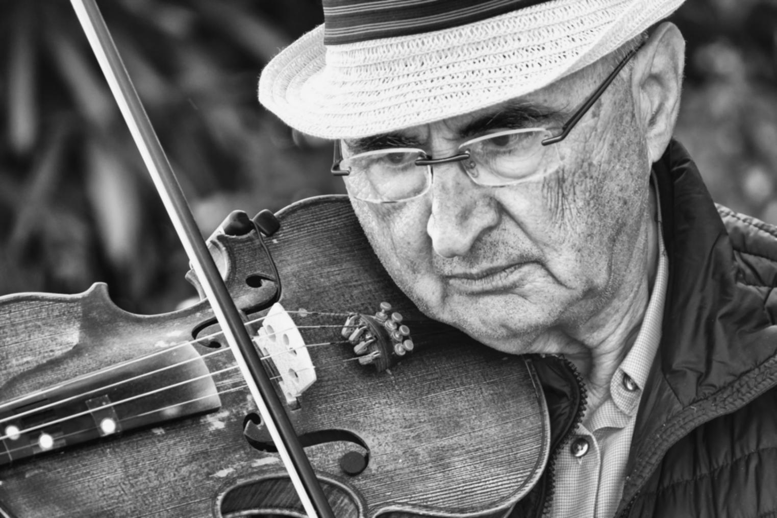 Multi-track audio session with layered sound design elements